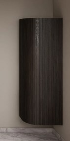 Gliss Design Alluro kolomkast 160cm met ronding links ebony