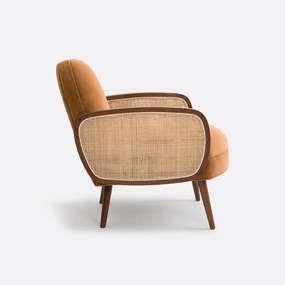 Fauteuil fluweel, Buisseau