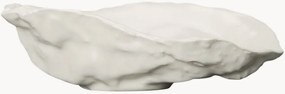 Decoratieve schaal Oyster