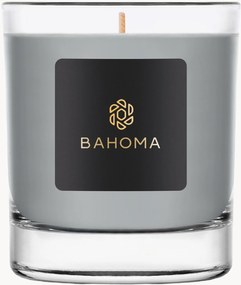 Met de hand gegoten geurkaars Ash (eucalyptus, zwarte bes)