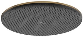 Hansgrohe Raindance alive hoofddouche 300 1 jet Brushed bronze (brons) 24520140