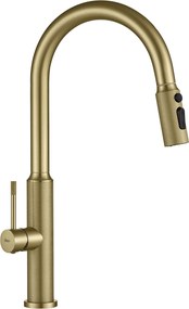 Keukenkraan Rea Master Brush Gold