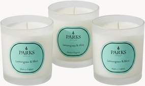Handgemaakte geurkaarsen Vintage Aromatherapy (citroengras, munt & citrus), 3-delig