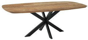 DTP Home Evo Teak Eettafel Deens Ovaal 220 Cm - 220 X 110cm.