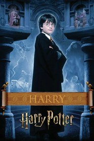 Kunstafdruk Harry Potter - Harry, (26.7 x 40 cm)