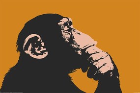 XXL poster Monkey - Thinking, (120 x 80 cm)