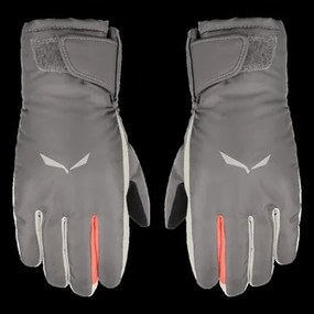 Handschoenen Grijs Salewa  Rękawiczki  Puez PTX K Gloves 26785-0531