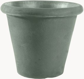 Plantenpot Camelia