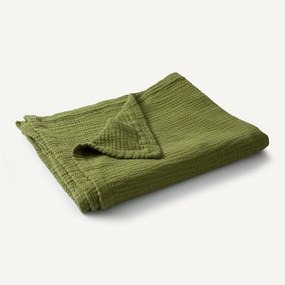 Plaid van tetra, Yafa