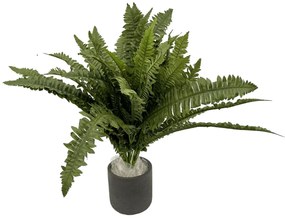 Nephrolepis Exaltata Kunstplant - 50 cm