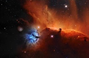 Kunstfotografie Horsehead nebula, IC 434 Narrowband, Paul C Swift, (40 x 26.7 cm)