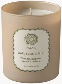 Geurkaars Darjeeling Mist (fruit, citroen, kruiden)