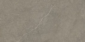 Jabo Munich Taupe wandtegel 30x60cm gerectificeerd