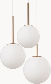 Hanglamp Basic Form