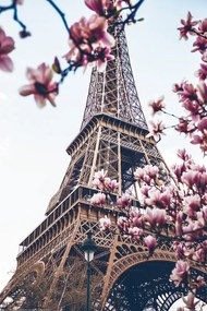 XXL poster Paris - Eiffel Tower, (80 x 120 cm)