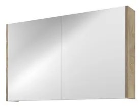 Proline Spiegelkast Comfort met spiegel op plaat aan binnenzijde 2 deuren 100x14x60cm Raw oak 1808651
