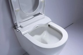 Saniclear Jama Spray randloos toilet met douchewc bidet zitting