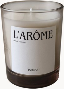 Geurkaars L'arôme (witte thee & artemisia)