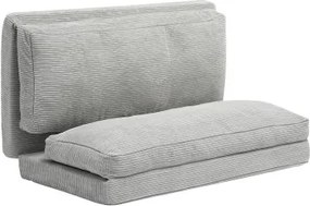 VEVOR 3-in-1 opvouwbare slaapbank met 2 kussens en wasbare hoes, omvormbare slaapbank van 25D traagschuim, bank voor woonkamer/slaapkamer, lichtgrijs (2410 x 1360 x 120 mm)