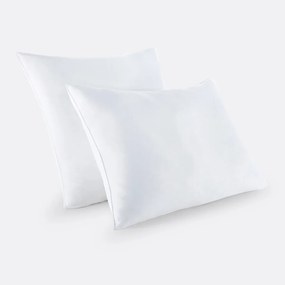 Set van 2 stevige anti-huisstofmijt kussens van microvezel