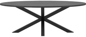 Goossens Eettafel Stone, Ovaal 220 x 120 cm