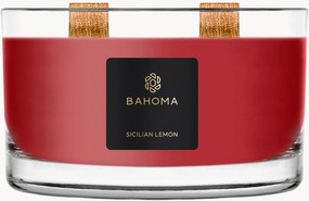 Handgemaakte 2-lonts geurkaars Sprit of Christmas (cassis, kruidnagel & amber)