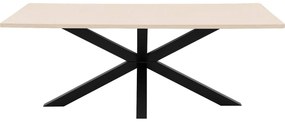 Goossens Eettafel Stone, Rechthoekig 210 x 110 cm