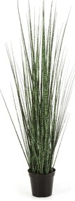 Kunstgras Zebra Gracilis - 90 cm