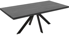 Goossens Eettafel Blade, Strak blad 200 x 100 cm 6 cm dik