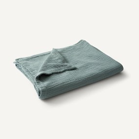 Plaid van tetra, Yafa