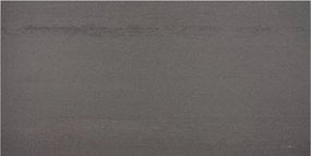 Casalgrande Padana Marte vloertegel gerectificeerd 60x30cm grigio maggia