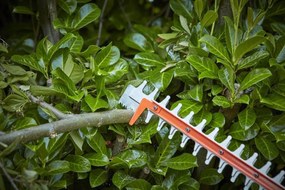 Black&amp;Decker Heggenschaar 650W - 60cm BEHTS551