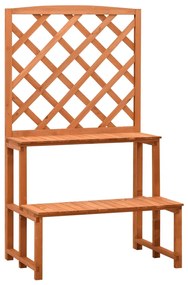 vidaXL Plantenrek met latwerk 70x42x120 cm massief vurenhout oranje