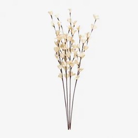 Pack Van 4 Decoratieve Gedroogde Takken Iliyan Natuurlijke Kleuren - Sklum