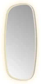 Hotbath &More Contour spiegel deens ovaal 50x100cm RVS