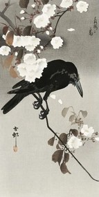 Kunstdruk Crow And Cherry Blossom, Ohara Koson