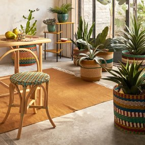 Veelkleurige mand in herbarium, Balia