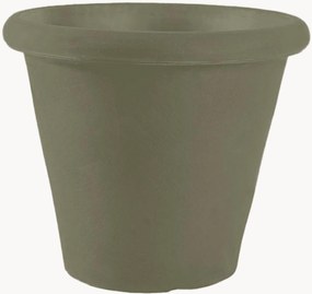 Plantenpot Camelia
