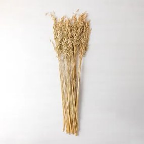Jayra Decoratief Boeket Beige – Crème - Sklum