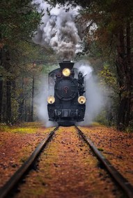 Foto Through the autumn forest, Rafal R. Nebelski