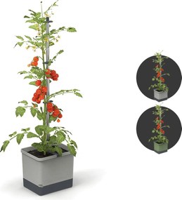 Gusta Garden TOM TOMATO - tomatenpot met waterreservoir - lichtgrijs