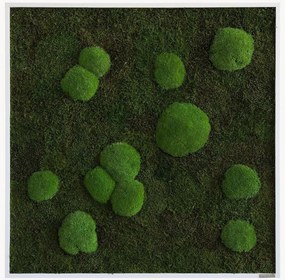 Handgemaakte mos- en bolmoswandprint Wild, ingelijst