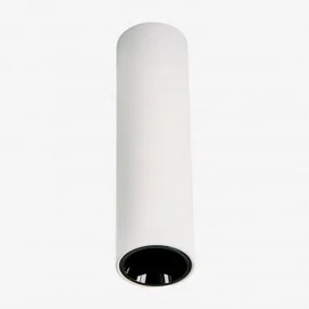 Led Plafondlamp Opbouw Rond Ø4 Cm In Aluminium Luisiana Wit – Zwart & 3 W & 19º & Wit Koud 4000k - Sklum