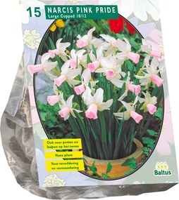 Baltus 'Narcis Pink Charm' - voorjaarsbloeiers - Roze - 15 bloembollen