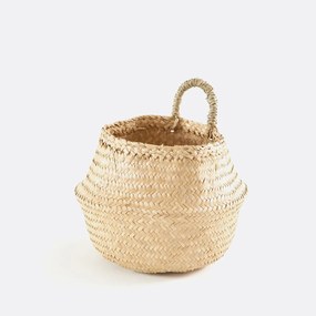 Bolvormige mand in herbarium, Rixy