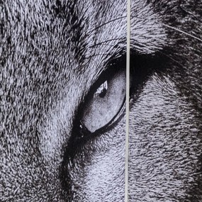 Kare Design King Lion Vs Cat Girl Kamerscherm Dubbelzijdig Schilderij