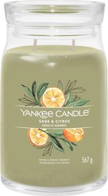Yankee Candle geurkaars - Sage&amp;Citrus - Signature Large Jar