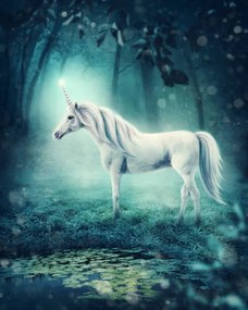 Ilustratie Unicorn, egal