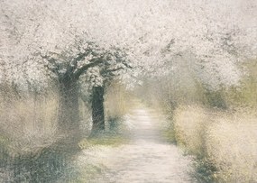 Ilustratie Cherry blossom, Nel Talen, (40 x 30 cm)