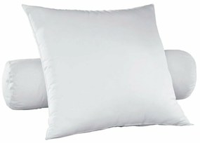 Stevig anti-huisstofmijt kussen, 100% dons